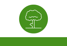 tree icon